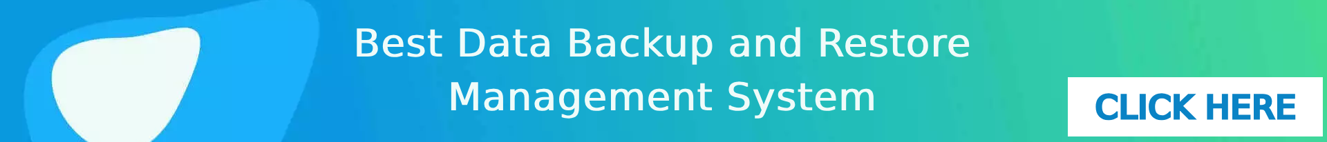 Best data backup and restore management system