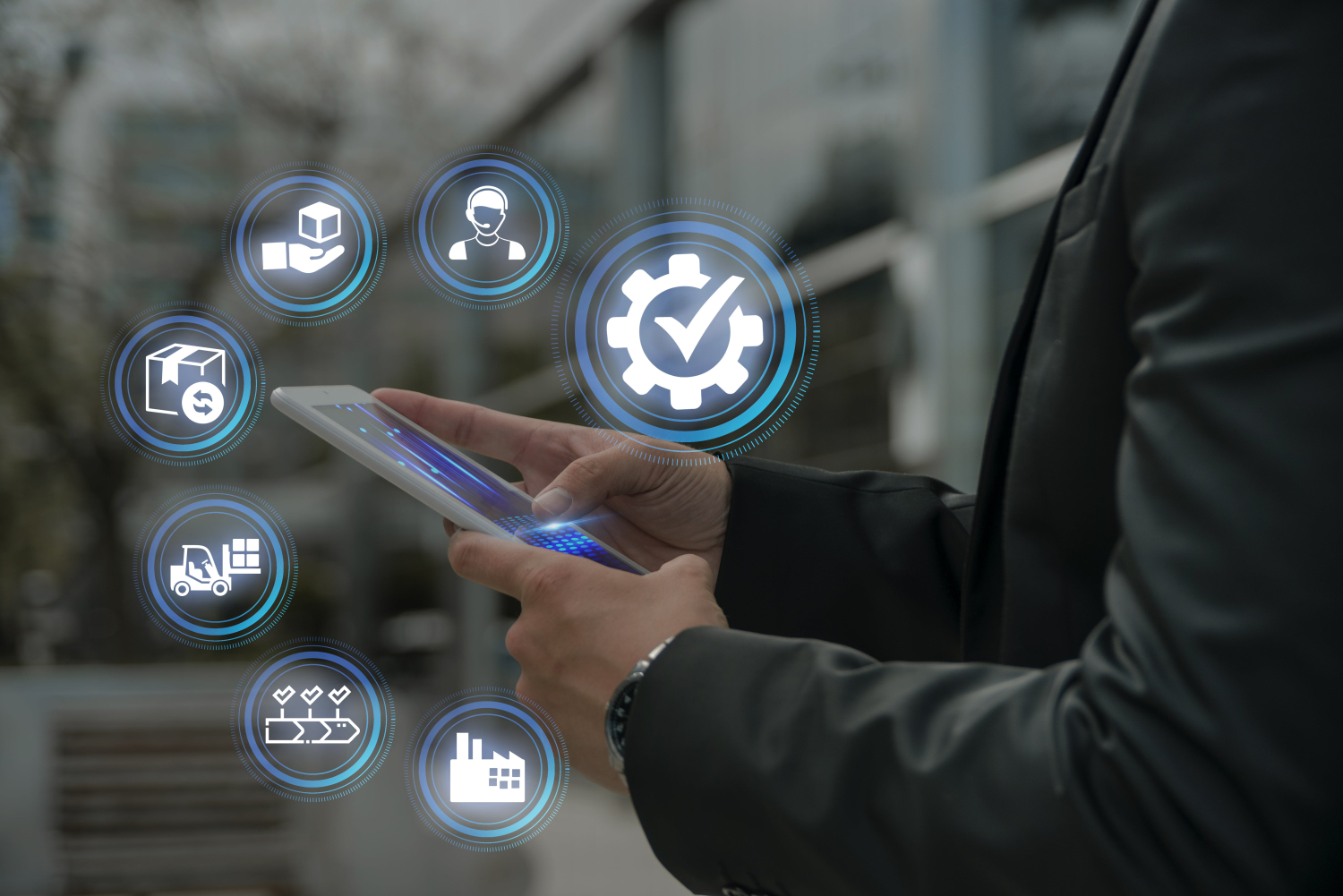 Enterprise Resource Planning Systems